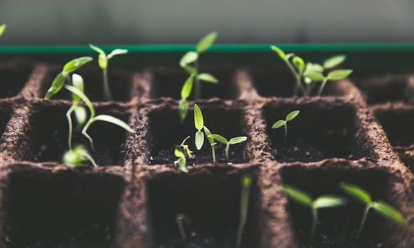 grow-your-small-farm-img